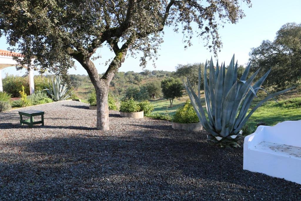 דירות אוריקי Monte Novo Da Sobreira, Rust En Ruimte In Zuid Alentejo מראה חיצוני תמונה
